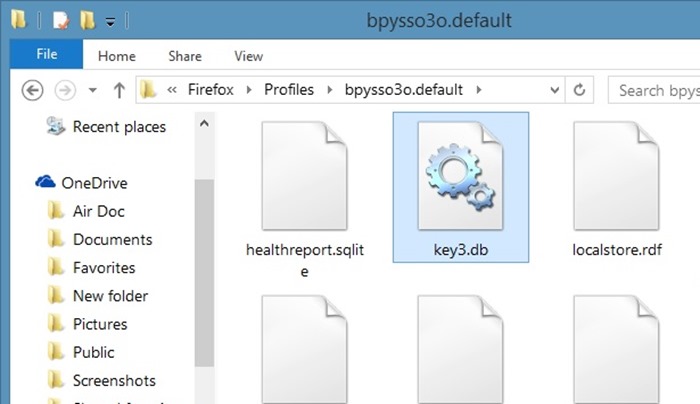 Backup Firefox passwords step1