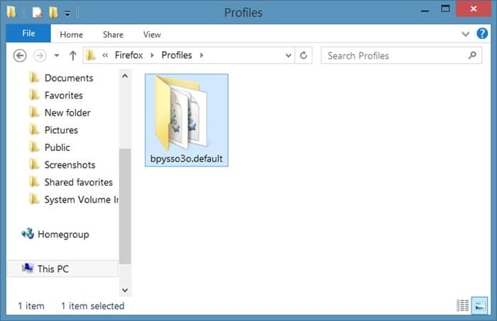 Backup Firefox passwords step3