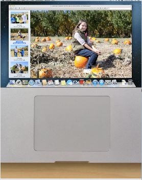 Disable macbook trackpad01