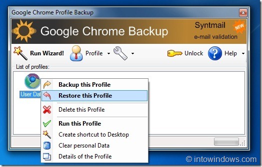 Google Chrome Backup