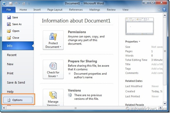 Import or Export Office 2010 Customizations