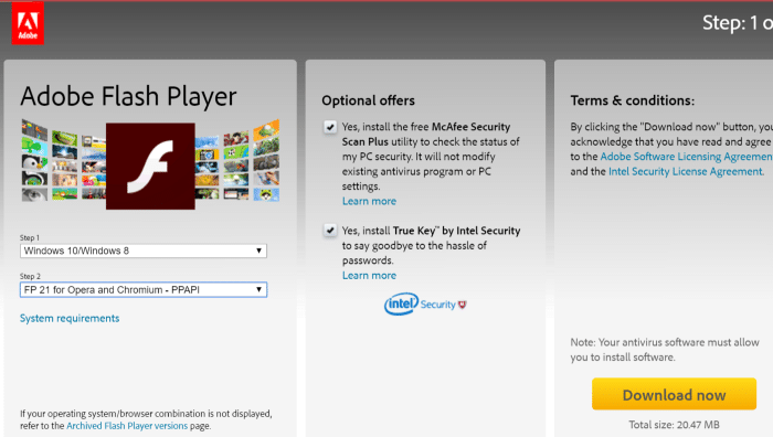Install Adobe Flash Playre in Vivaldi browser step5