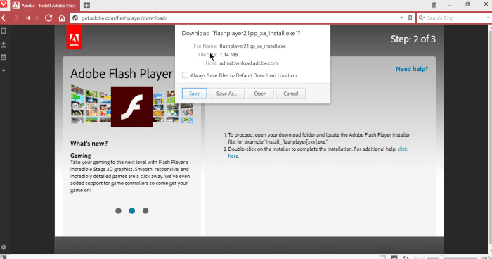 Install Adobe Flash Playre in Vivaldi browser step7