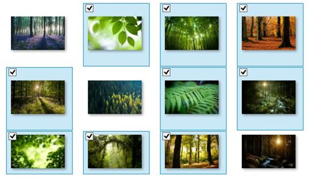 Select Specific wallpapers in a theme