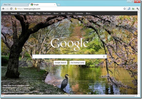Set Bing Homepage Wallpaper as Google Homepage Background