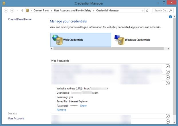 View and backup passwords in Internet Explorer step5