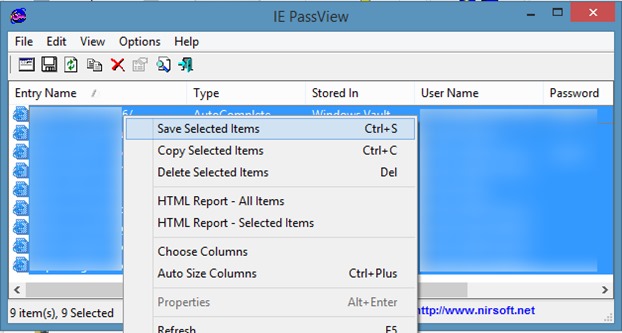 View and backup passwords in Internet Explorer step9