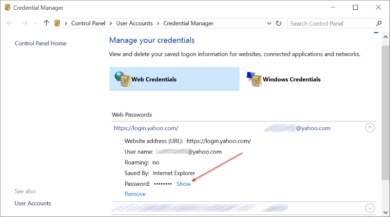 View passwords saved in Edge Browser In Windows 10 pic3