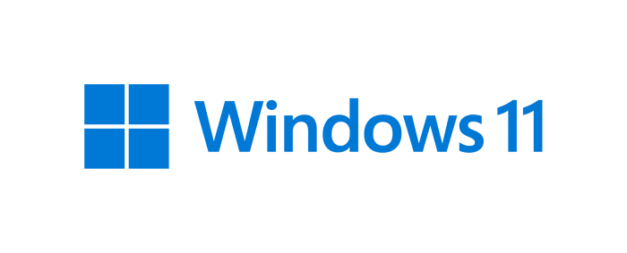 Windows 11 logo full