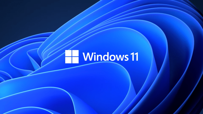 Windows 11 logo1