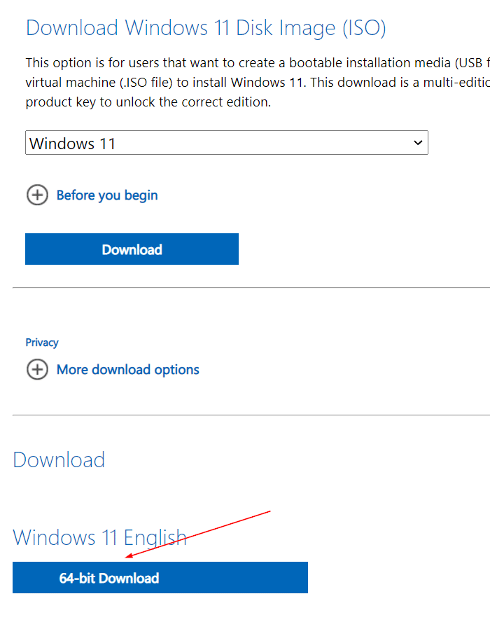 download Windows 11 ISO from Microsoft pic12