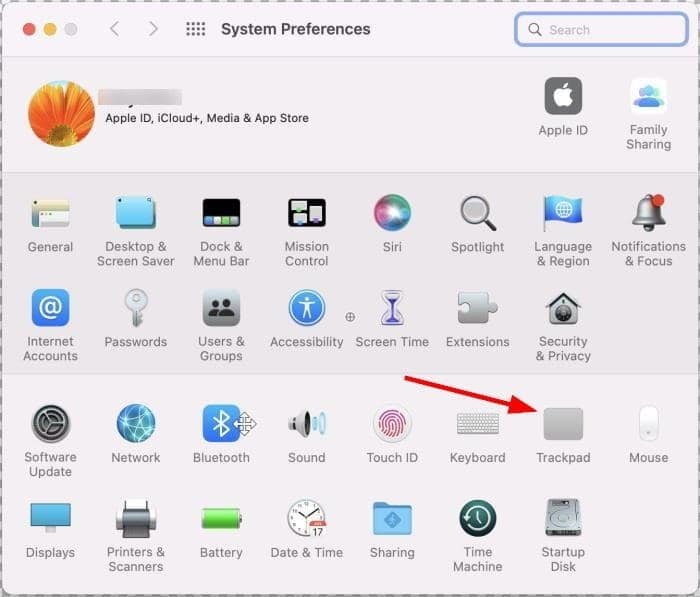 enable tap to click on mac pic01