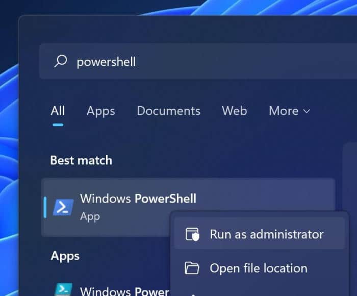 reinstall Store app in Windows 11pic1