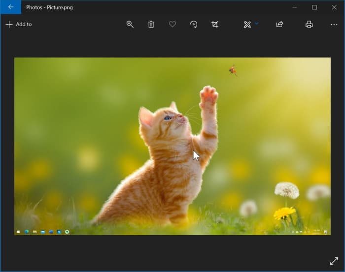 reinstall photos app in Windows 10 pic1