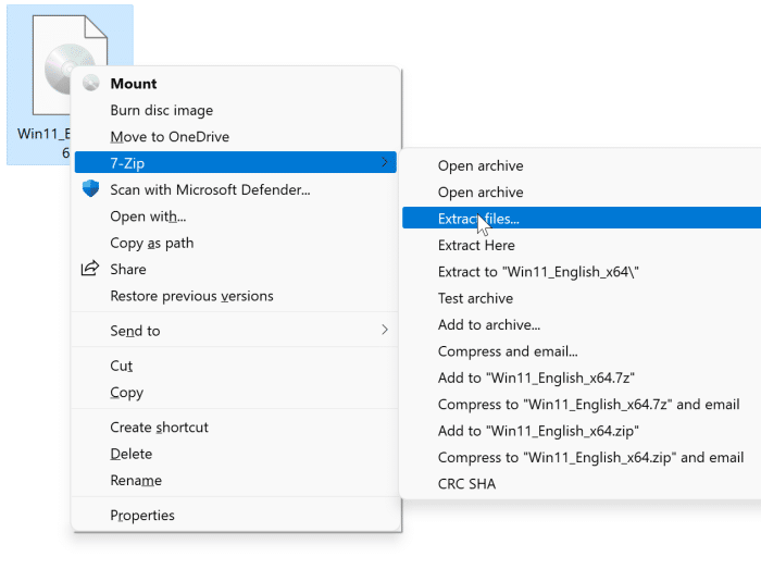 select Windows 11 Home or Pro during setup10