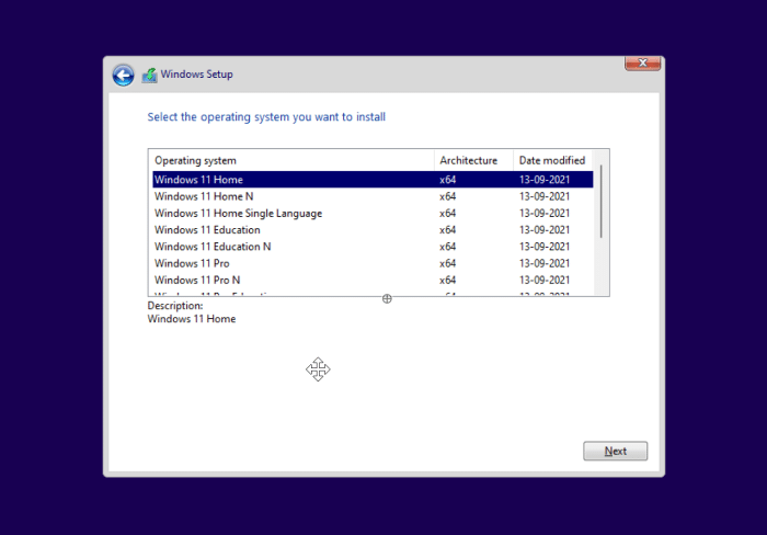 select Windows 11 Home or Pro during setup1