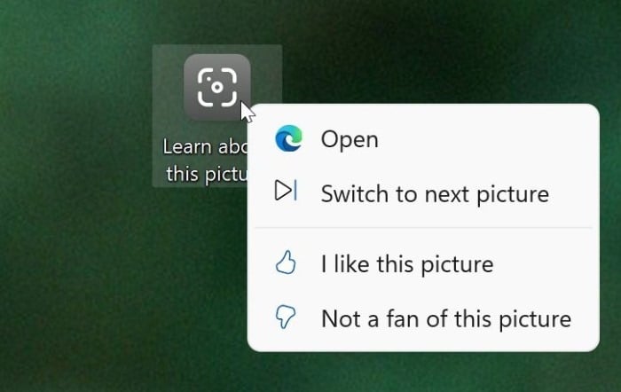 set Windows spotlight as desktop background in Windows 11 pic4
