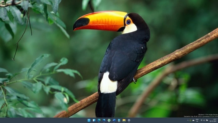 set Windows spotlight as desktop background in Windows 11 pic5