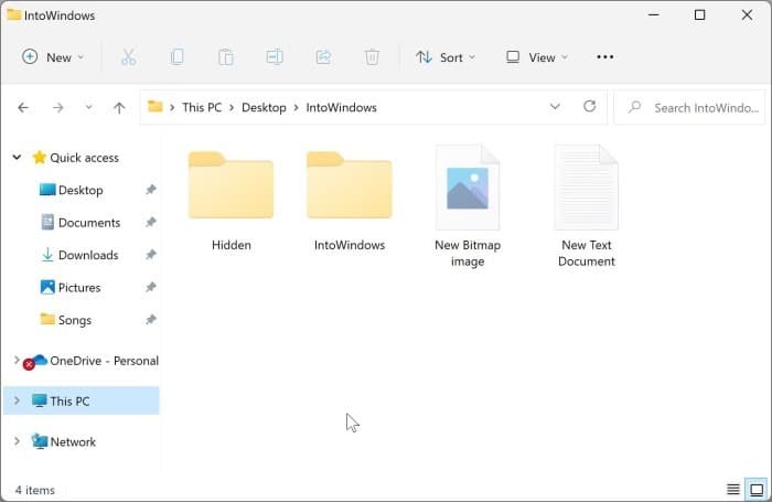 view hidden files and folders in Windows 11 pic01