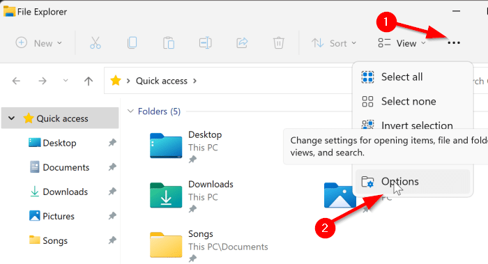 view hidden files and folders in Windows 11 pic1