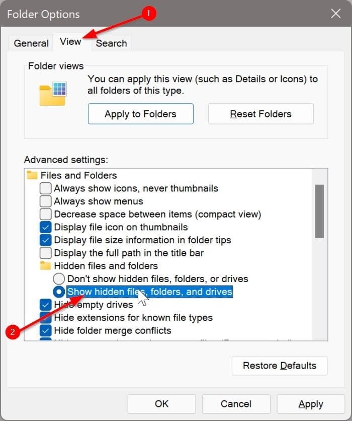 view hidden files and folders in Windows 11 pic2