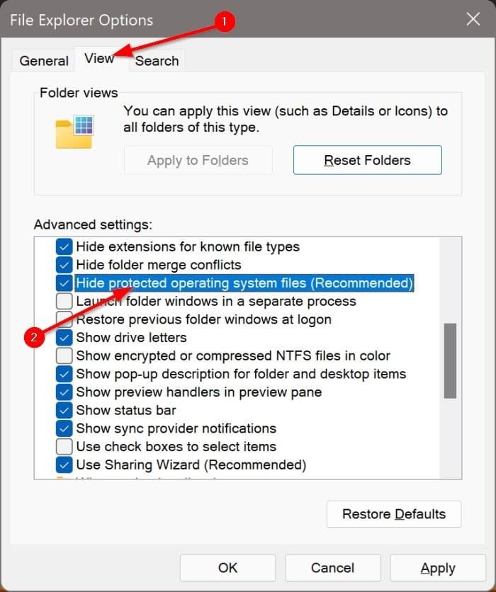 view hidden files and folders in Windows 11 pic4